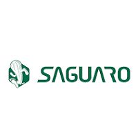 Saguaro Shoes ES