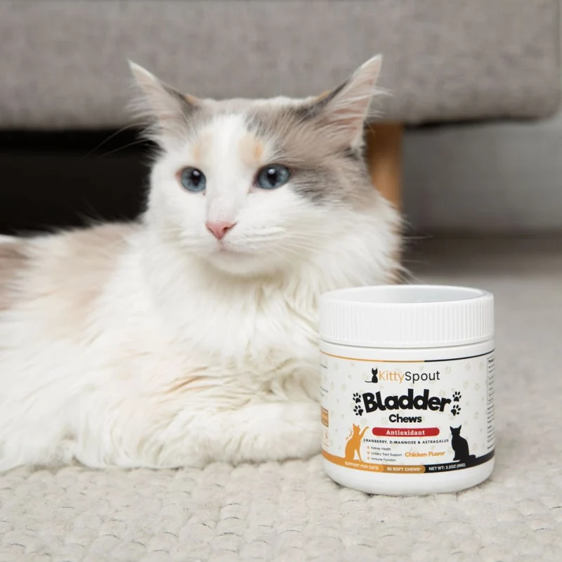 KittySpout Bladder & Kidney Support Chews